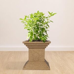 plastic tulsi mancha